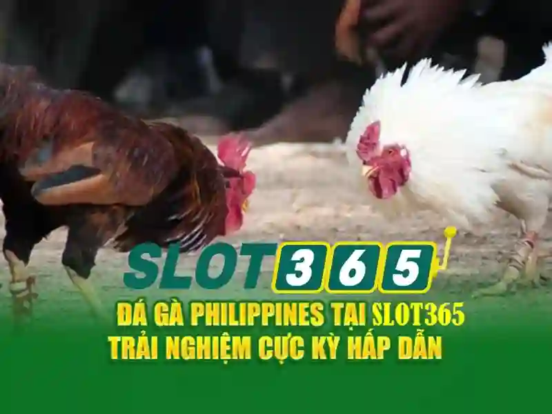 Hiệu suất và trải nghiệm di động