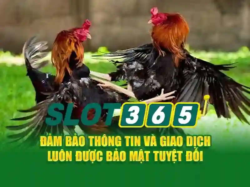 Giao diện nhà cái hoàn hảo