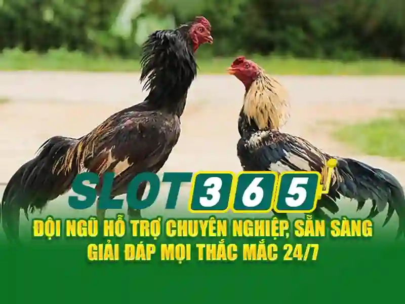 Trò chơi đa dạng và chất lượng
