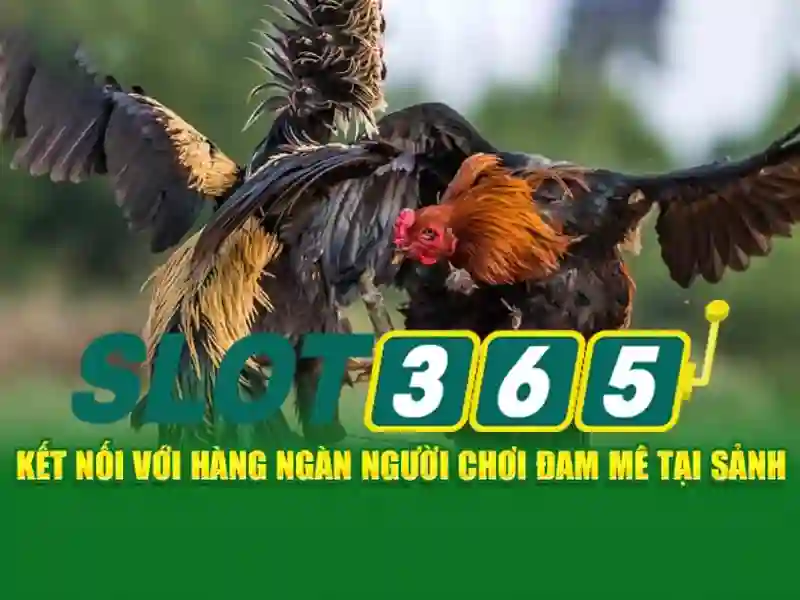 https://shayanco.org/images/text/slot365/slot365-text260330272.webp Tựa game nổi bật tại Slot365