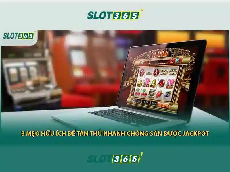 Nền tảng và đặc trưng