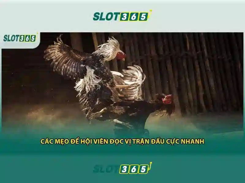 An toàn và công bằng