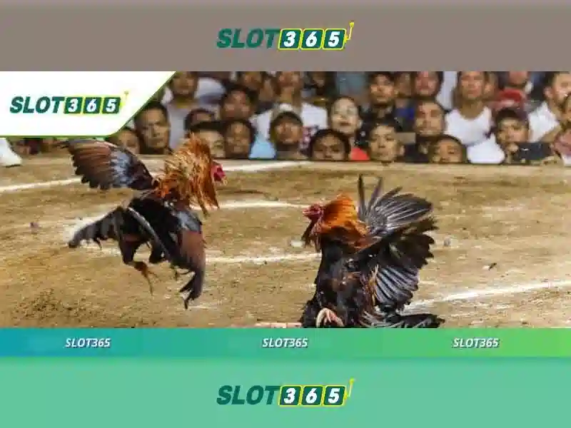 https://shayanco.org/images/text/slot365/slot365-text260330141.webp Trải nghiệm người dùng