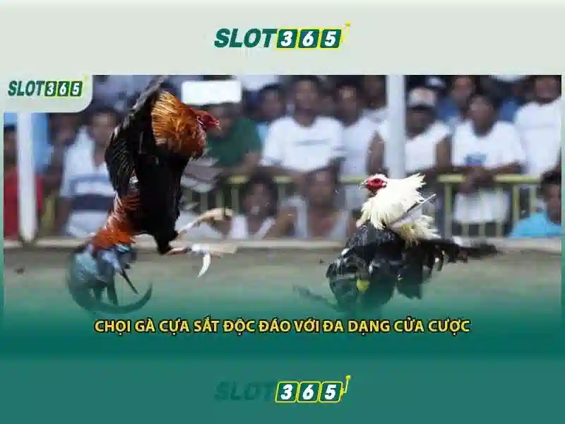 https://shayanco.org/images/text/slot365/slot365-text260330455.webp Khuyen mai va trai nghiem nguoi dung