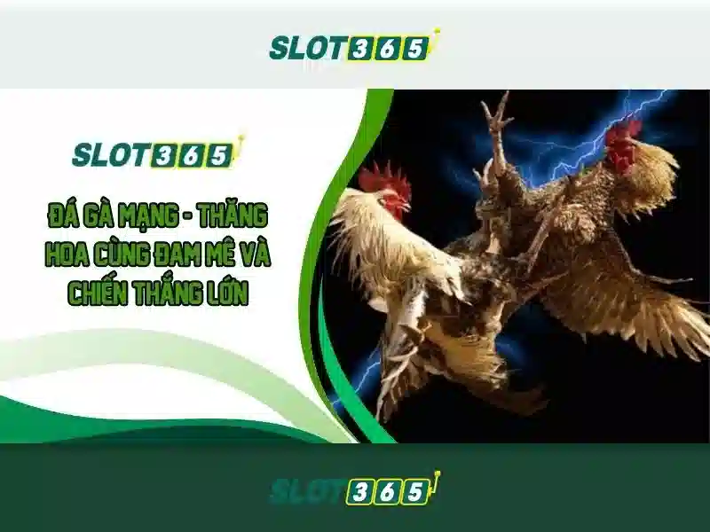 Bang kiem tra dieu kien doanh thu cuoc truoc khi rut tien tai Slot365