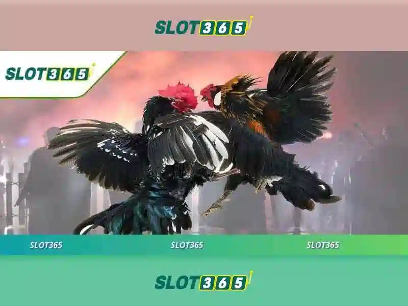Slot365 - Nền tảng trò chơi xè trực tuyến nổi bật