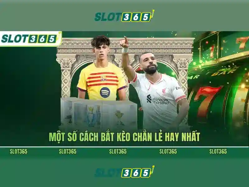 https://shayanco.org/images/text/slot365/slot365-text869.webp An toàn và hỗ trợ khách hàng