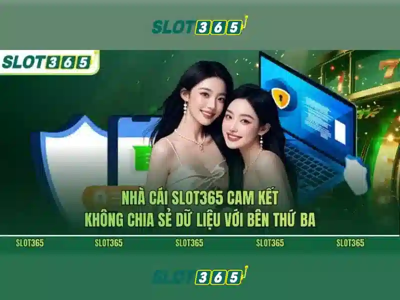 Trải nghiệm người dùng và tương thích di động