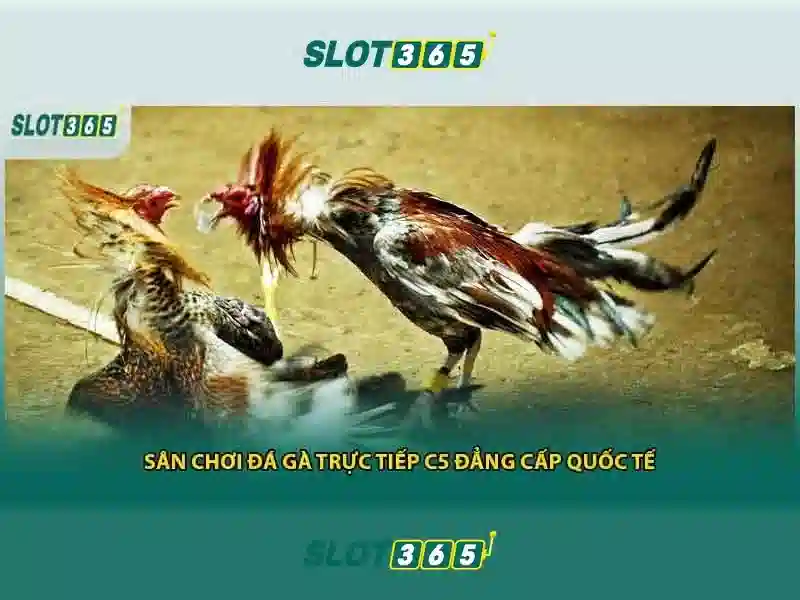 Giao diện nhà cái hoàn hảo