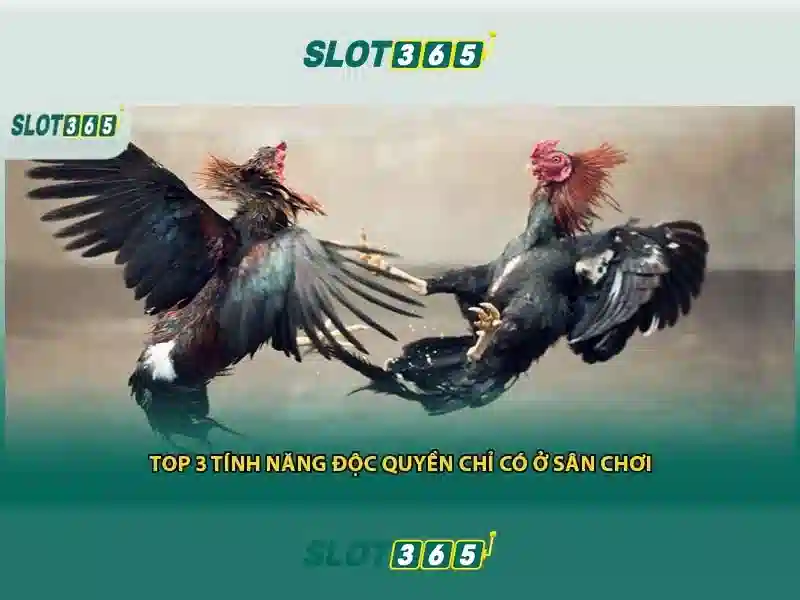 Slot365: Ngôi nhà của trò chơi slot hiện đại
