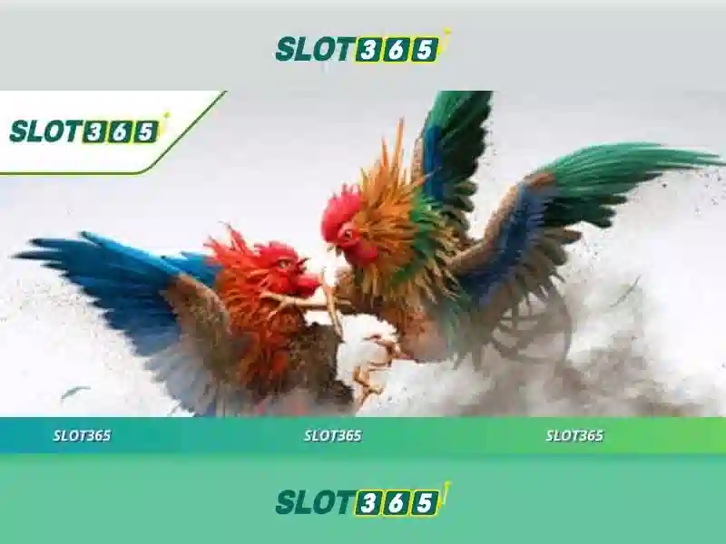 Slot365: trải nghiệm casino slot trực tuyến hàng đầu Giao diện nhà cái hoàn hảo