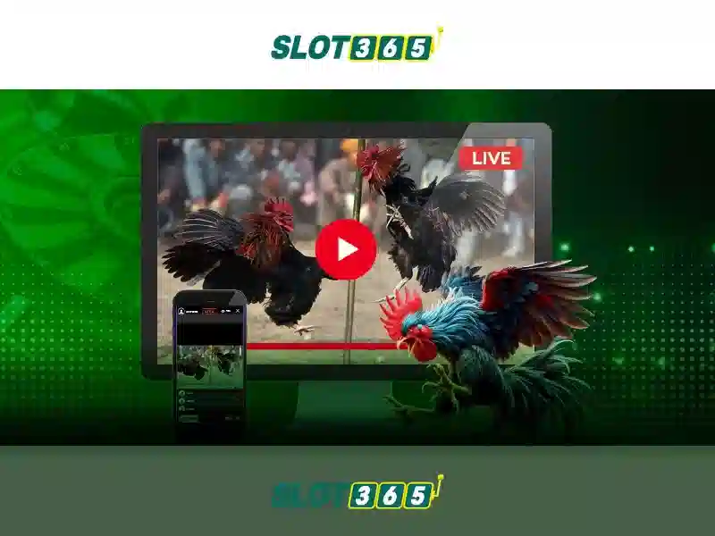 Đa dạng trò chơi và casino live