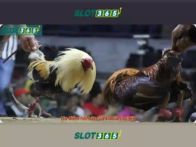 Nguồn gốc và sứ mệnh