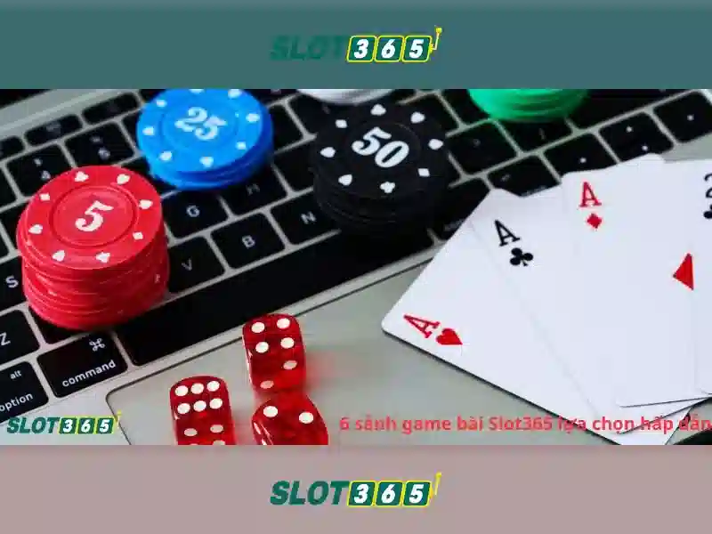 Khuyến mãi, thưởng khoản và chương trình loyalty