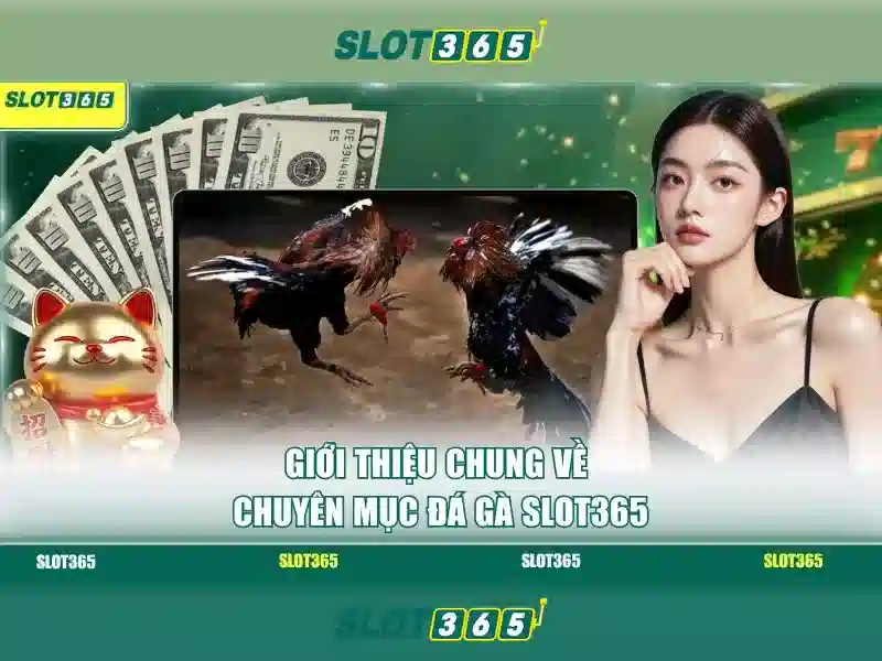 Giao diện nhà cái hoàn hảo