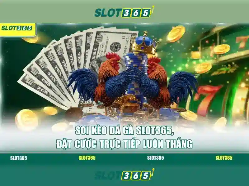 Slot365: Nền tảng slot trực tuyến đỉnh cao Giao diện nhà cái hoàn hảo