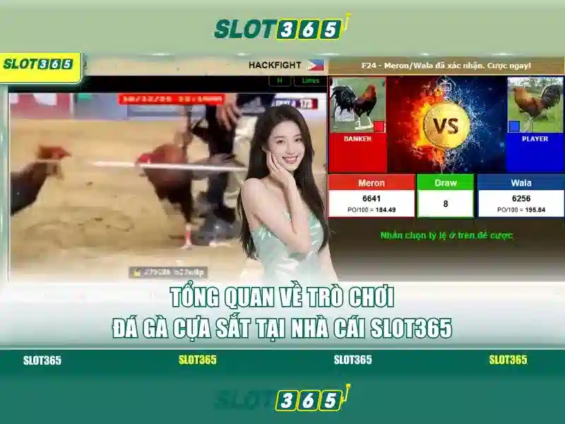 https://shayanco.org/images/text/slot365/slot365-text260331494.webp Giao diện và trải nghiệm người dùng