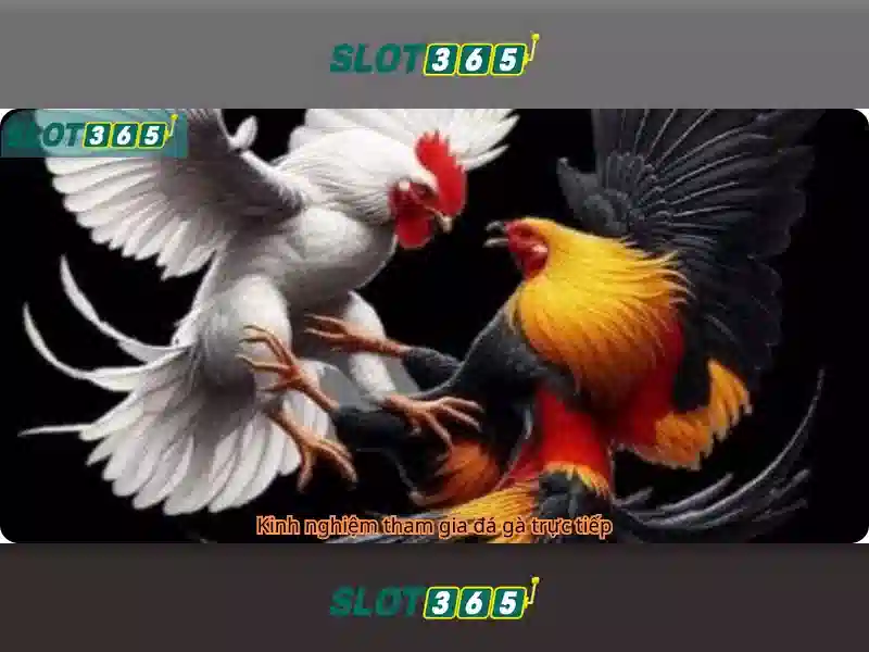 Khám phá Slot365 và trò chơi xèng trực tuyến