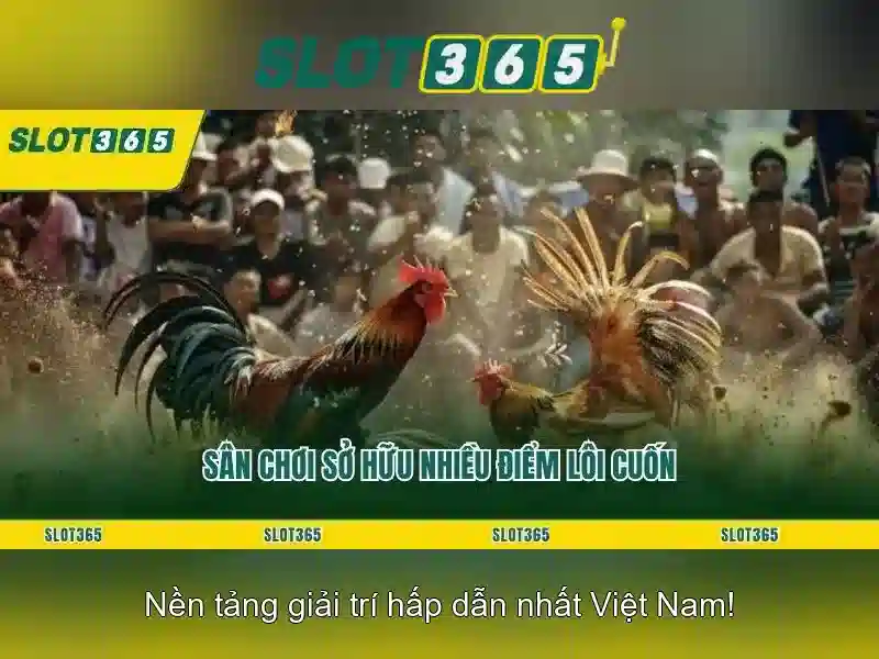 slot365 bet – Tổng quan, trải nghiệm và uy tín Slot365