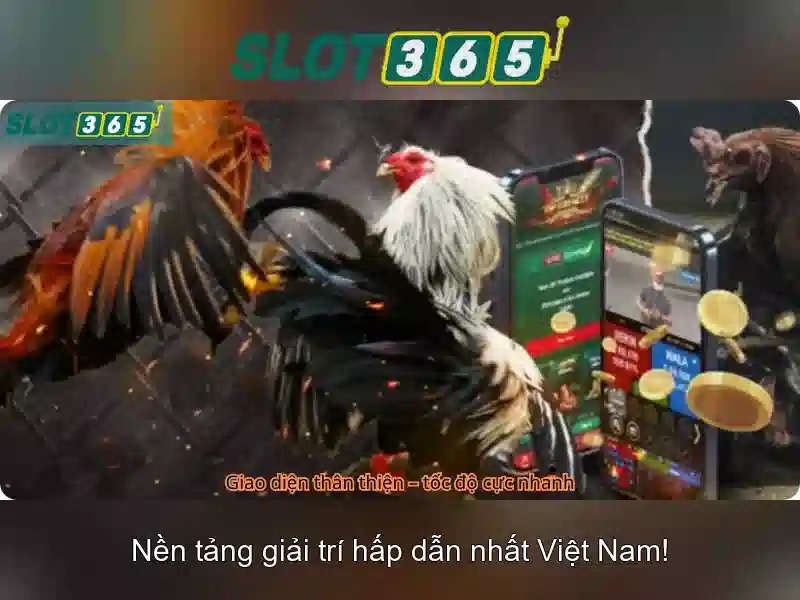Slot365: Tổng quan về nền tảng đánh bạc trực tuyến