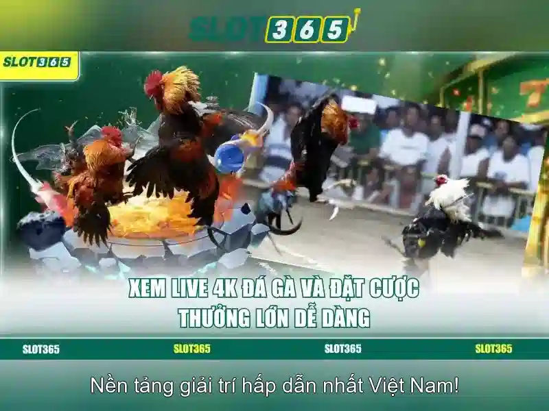 Slot365: Tổng quan và trải nghiệm nền tảng slot trực tuyến Giao diện nhà cái hoàn hảo