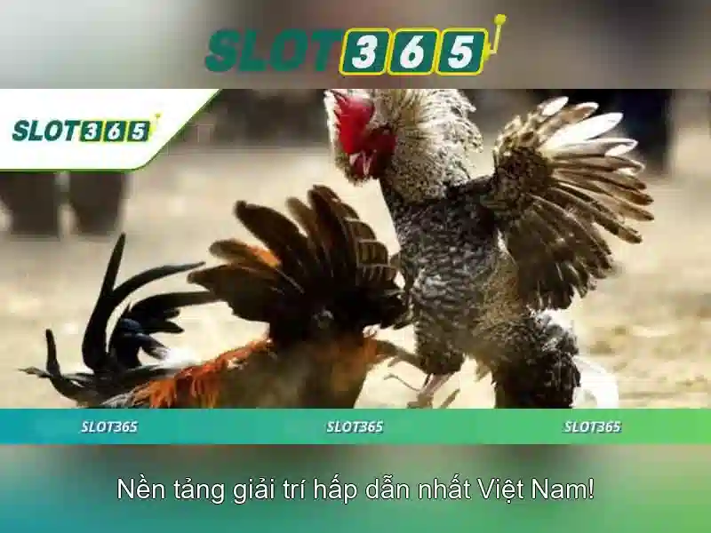 https://shayanco.org/images/text/slot365/slot365-text261.webp Tính năng nổi bật của Slot365