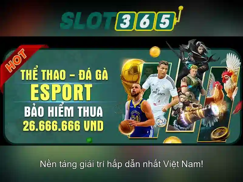 Hỗ trợ khách hàng và giao diện di động