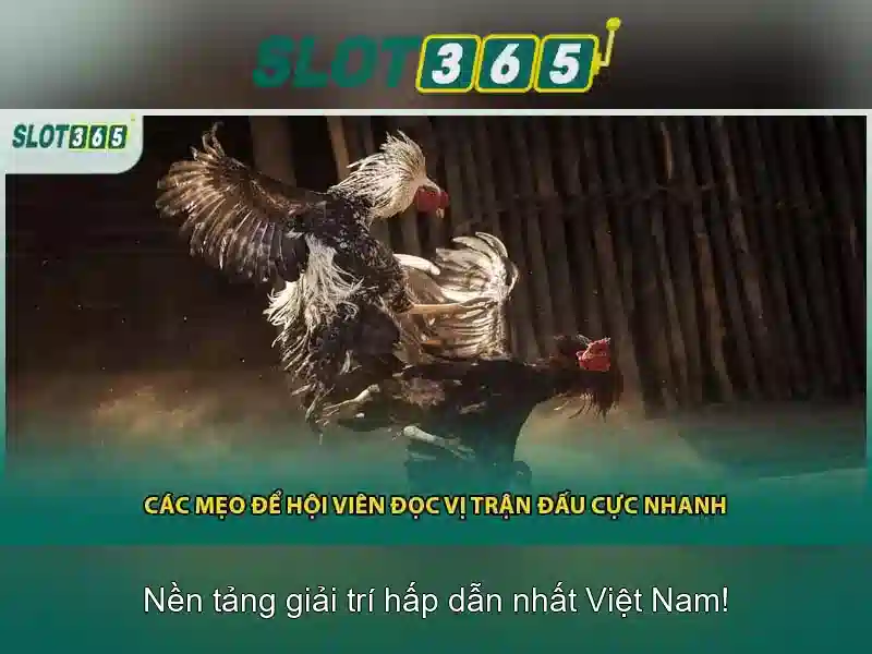 https://shayanco.org/images/text/slot365/slot365-text260331408.webp Trải nghiệm người dùng tại Slot365