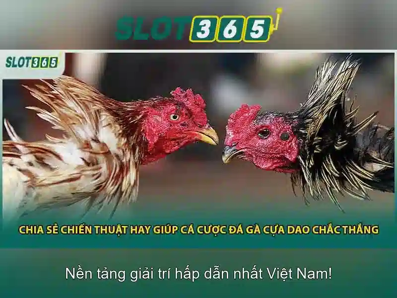 https://shayanco.org/images/text/slot365/slot365-text144.webp Slot365: Nền tảng slot trực tuyến an toàn và phong phú