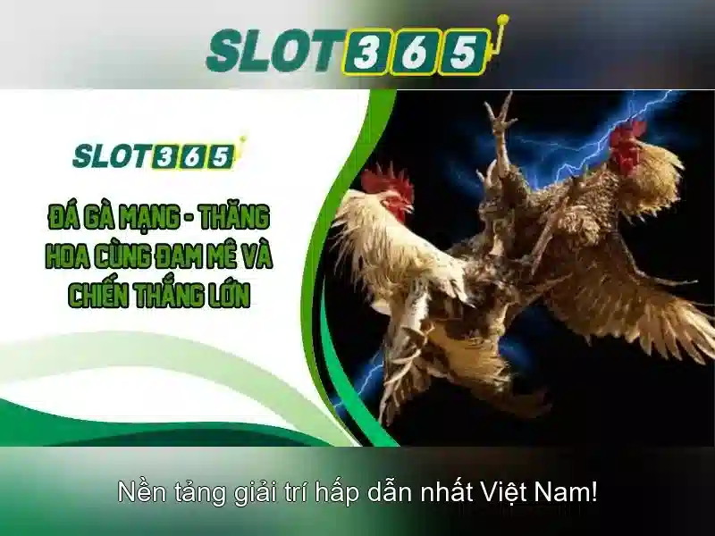 Slot365 - Trải nghiệm chơi slots trực tuyến đỉnh cao