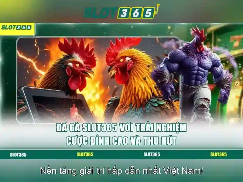 https://shayanco.org/images/text/slot365/slot365-text260331920.webp Trải nghiệm người chơi và giao diện