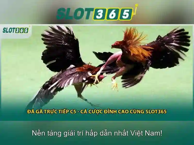 Slot365: trải nghiệm casino slot trực tuyến hàng đầu