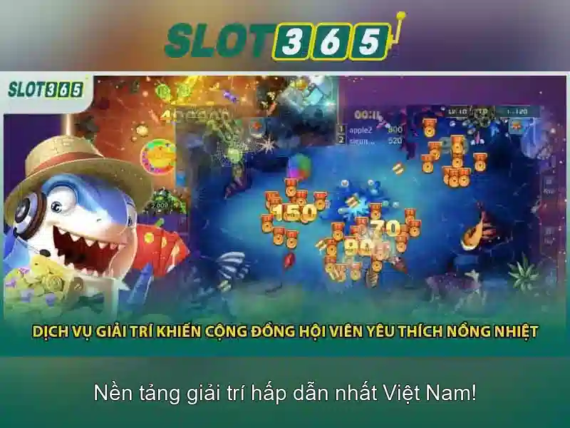 Hướng dẫn bắt đầu