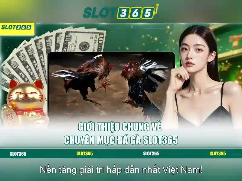 Tổng quan chủ đề và giá trị cốt lõi