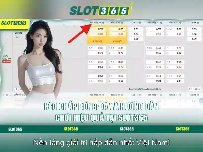 https://shayanco.org/images/text/slot365/slot365-text26033019.webp 'Khuyến mãi, thưởng và hỗ trợ khách hàng'