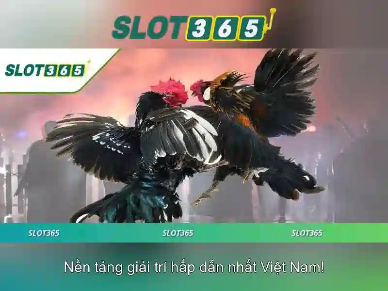 https://shayanco.org/images/text/slot365/slot365-text2603311055.webp Tính năng nổi bật