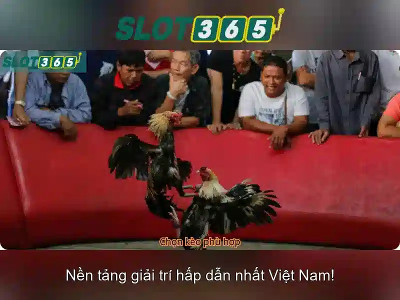 Slot365 – Nền tảng slot online uy tín tại Việt Nam