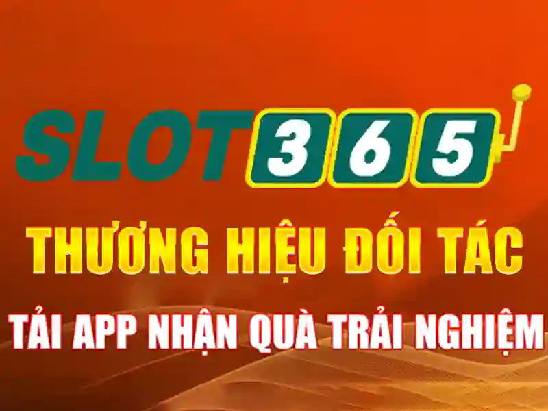 Slot365 là gì và vì sao được nhiều người chọn