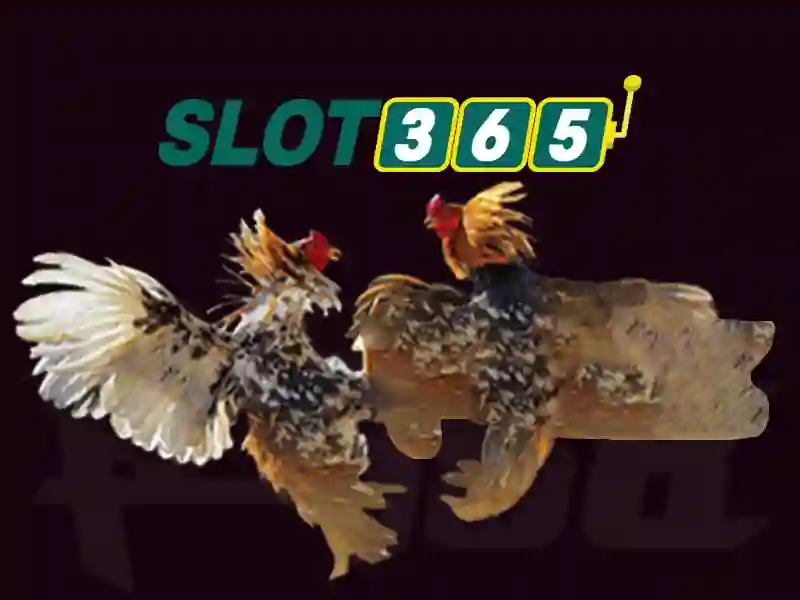 An toàn và tin cậy