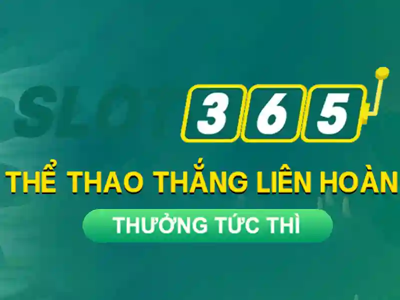 Tong quan ve dieu khoan dieu kien tai nha cai Slot365