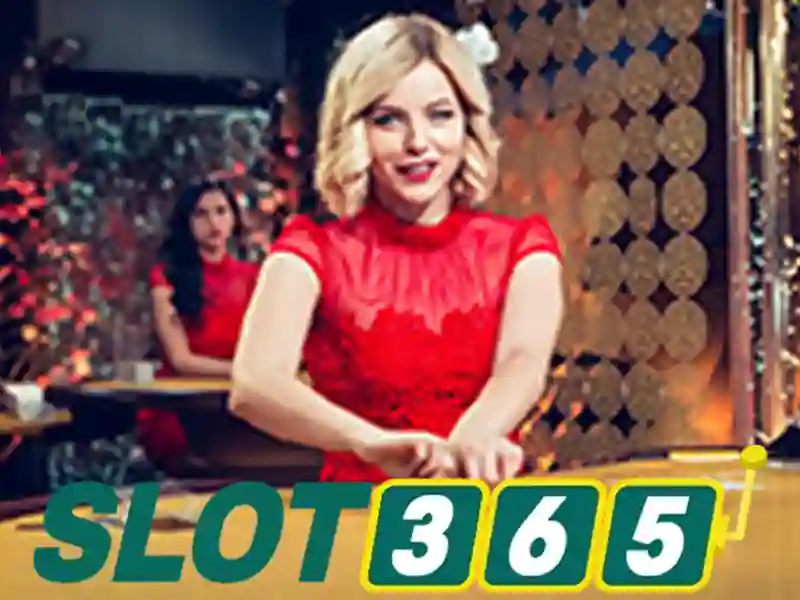 Slot365: Cẩm nang khám phá nền tảng chơi slot trực tuyến