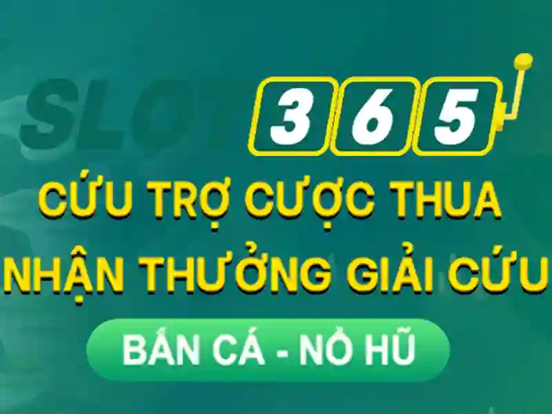 Trải nghiệm người dùng và phản hồi cộng đồng