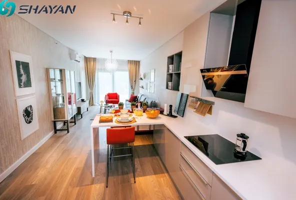 Luxury apartment in the European part of Istanbul2